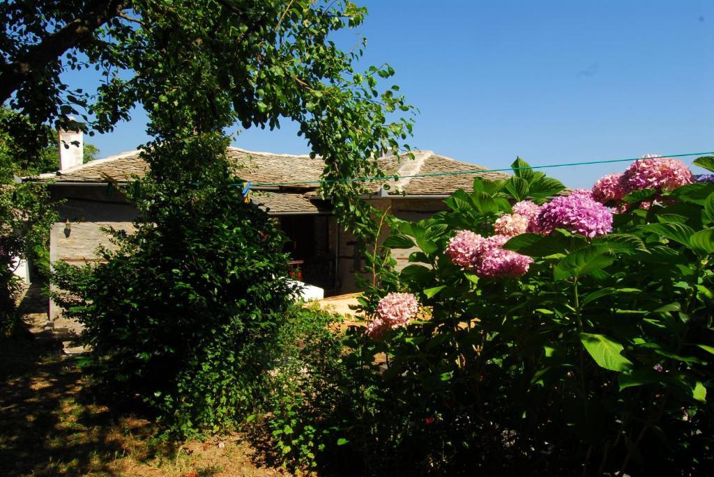Archontiko Iatridis Hotel Mourésion Екстериор снимка